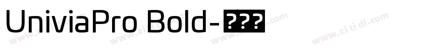 UniviaPro Bold字体转换